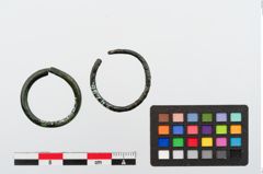 Foto von Bronzering (NHMW-PRAE-024296)